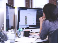 Business Analyst